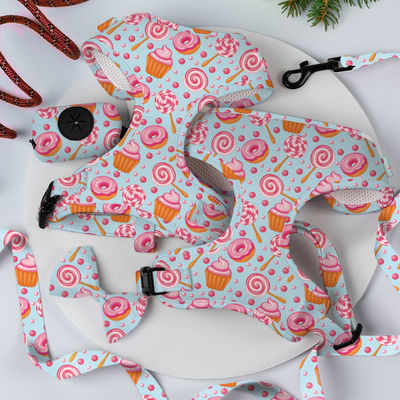 Mua XS Dog Harness And Leash Set Sublimation Decoration Scarf Cat Harness Set (Số dây chuyền và dây xích cho chó) sản xuất trực tuyến