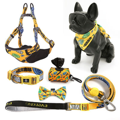 Mua Chó Polyester tùy chỉnh Sublimation trống cá nhân hóa cổ áo thú cưng và dây xích dây chuyền thiết lập Logo tùy chỉnh sản xuất trực tuyến