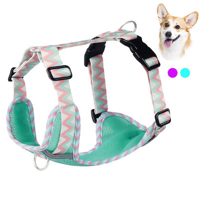 Mua 2023 Chengbei's Pet Supplies Chiếc áo khoác dây xích chó với dải phản xạ và mẫu rắn sản xuất trực tuyến
