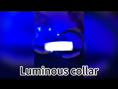 120cm Led Dog Leash USB sạc lại Đèn chó Leash cá nhân hóa