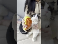 Chăm sóc thú cưng Máy phun nước chải loại bỏ lông chó mèo