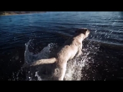 Đồ chơi nhai chó ETPU Solid Ball Interactive cho đồ chơi và phụ kiện vật nuôi