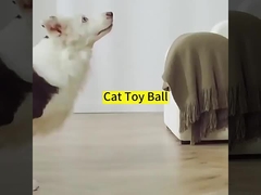 vật liệu silicone ABS tự di chuyển huấn luyện chó mèo đồ chơi cho giải trí trong nhà