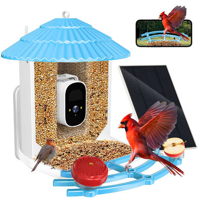 IP66 chống nước 4MP Smart Bird Feeder 2.5L Wildlife Smart Bird Camera