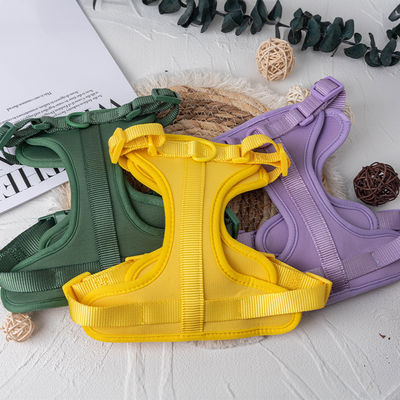 Neoprene cá nhân hóa dây xích và vòng cổ cho chó thú cưng