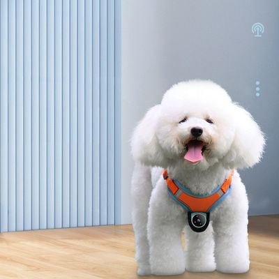 Máy ảnh hành động ngón tay cái từ tính nhỏ ghi hình không dây máy ảnh chó