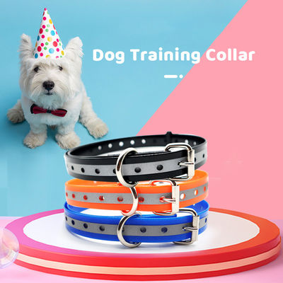 Tất cả các mùa phản xạ cổ áo chó Hundehalsband Không kéo Đặt TPU Hardware Buckle Mô hình rắn
