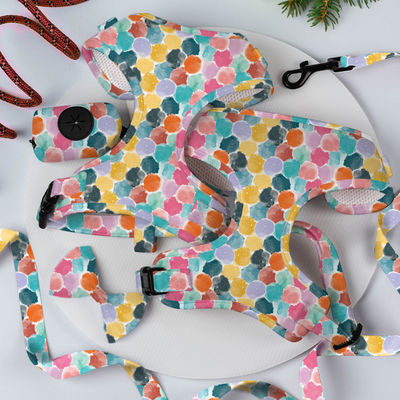 XS S M L XL Puppy Harness And Leash Set Air Mesh Soft Neoprene Collar And Lead Set XS S M L XL Chiếc dây chuyền và dây xích cho chó con