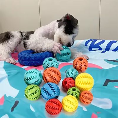 Chú chó thú cưng kẹo kẹo bán bóng giấu thức ăn câu đố cắn Chú cưng thú cưng tương tác nhai bóng