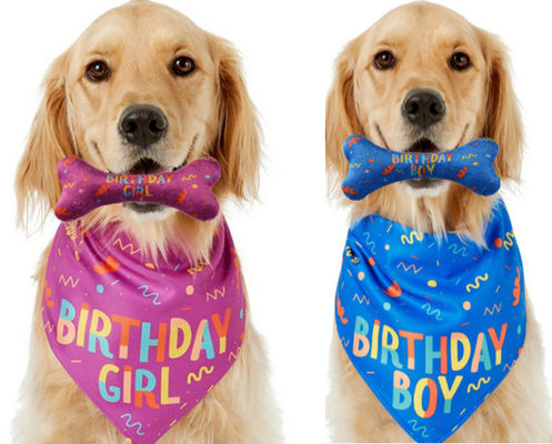 Chó sinh nhật Đặt hàng Lễ hội Bandana xương nhai đồ chơi Set thú cưng Bandanas in tùy chỉnh