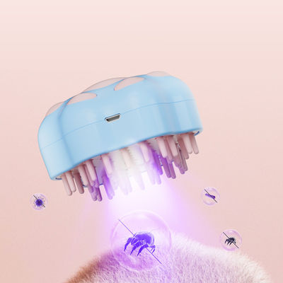 Tên