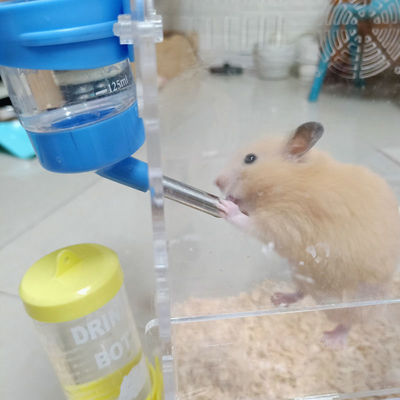 Tên