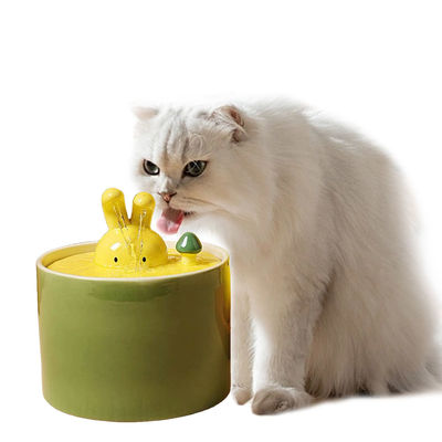 Tên